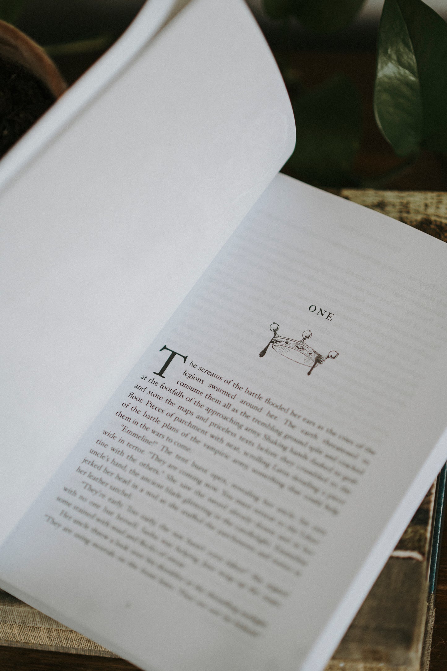 Signed Paperback of The Lesser Gods - Exclusive Edition