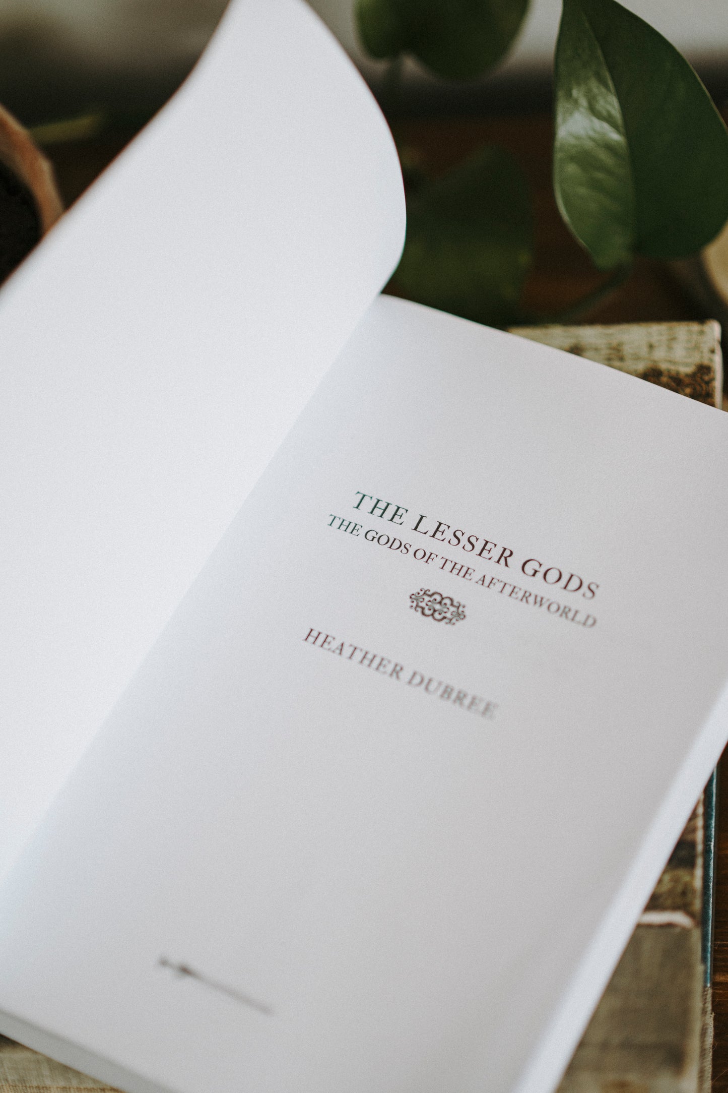 Signed Hardcover Edition of The Lesser Gods