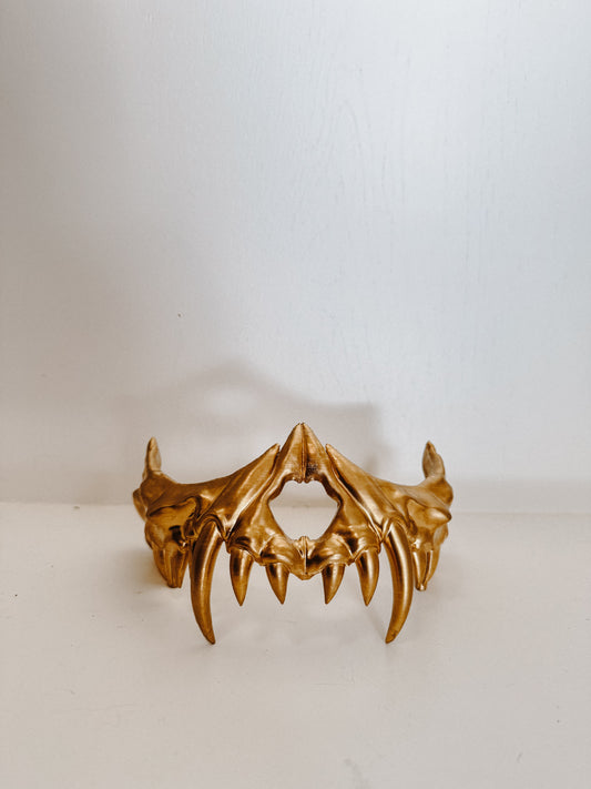 The Wraith's Mask from The Lesser Gods
